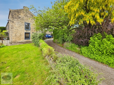Picture 23
